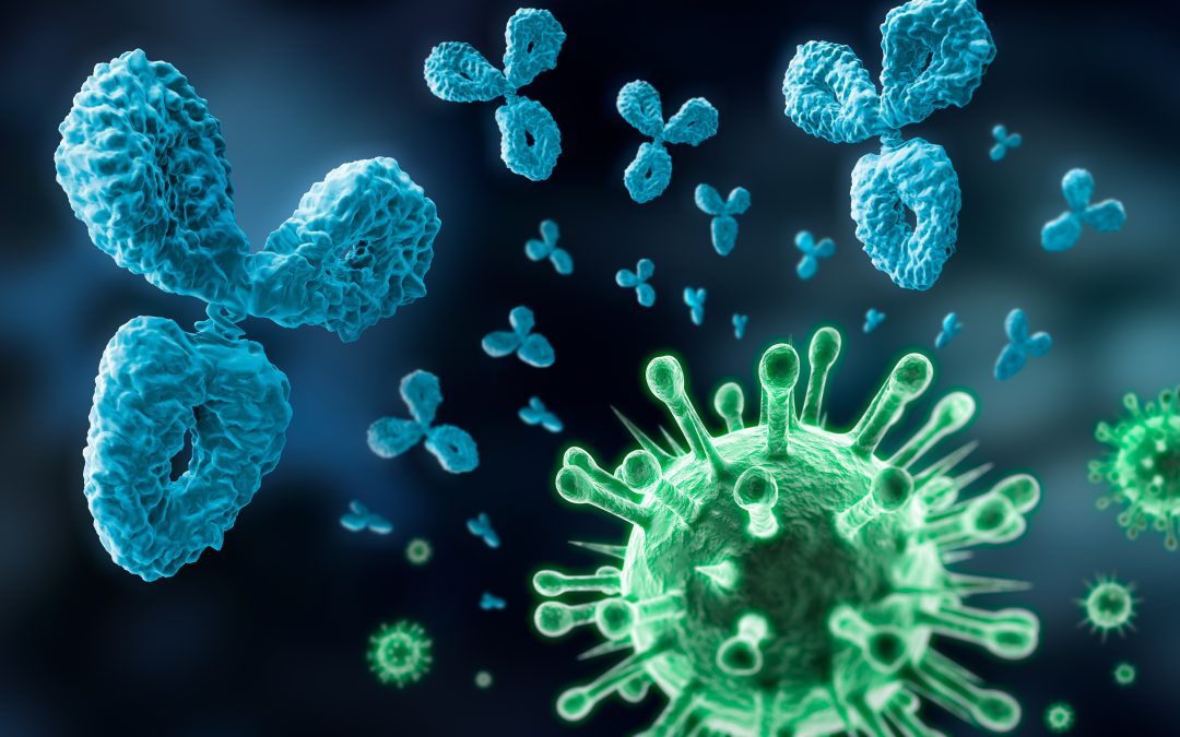 Is AutoImmune Paleo (AIP) Legit?